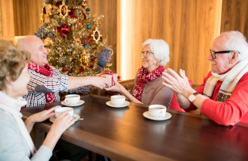 christmas ideas for seniors