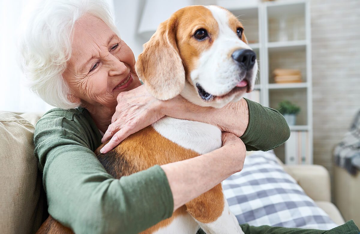 The benefits of animal-assisted activities for seniors