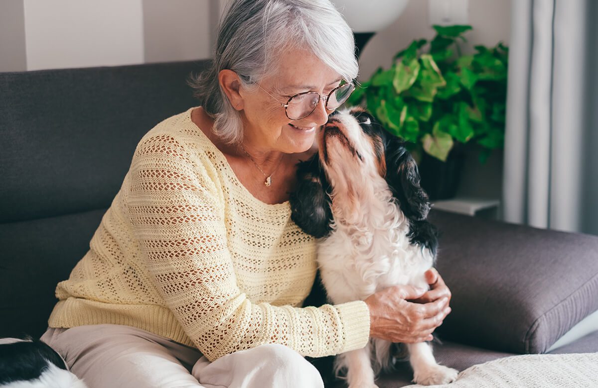 The benefits of animal-assisted activities for seniors