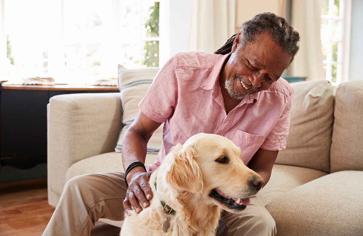 The benefits of animal-assisted activities for seniors